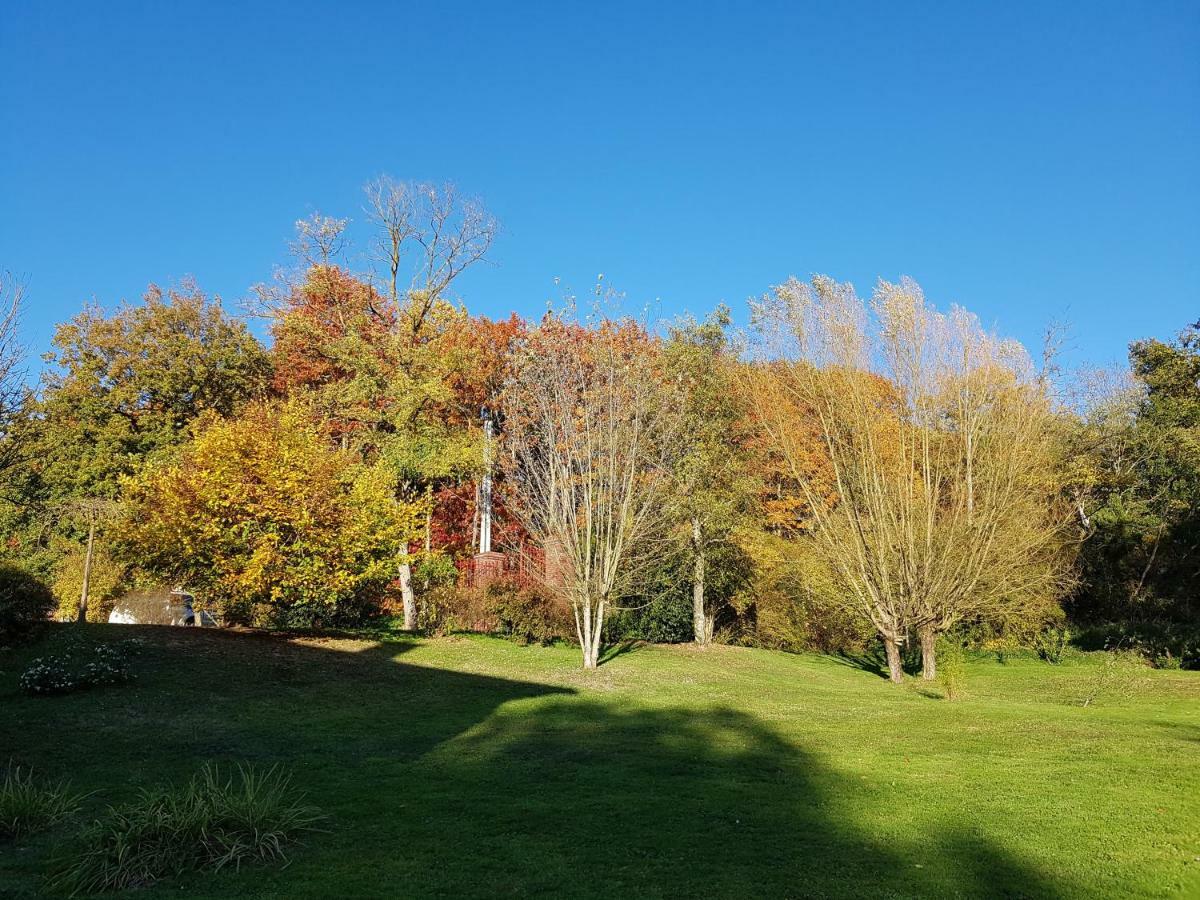 Le Moulin De Varax Saint-Paul-de-Varax ภายนอก รูปภาพ